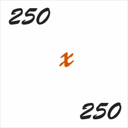 250x250